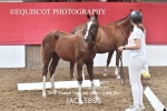 JAC_5896