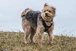 Hutton Roof-687