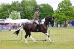 SBM_02619