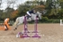 BPP_1197