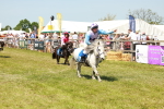 SBM_17280