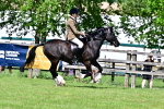 SBM_08031