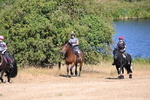 WJ6_7892