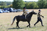 WJ6_7790