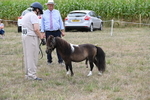 WJ6_5673