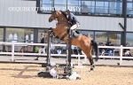 BPP_6035