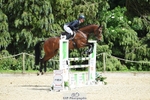 101-INTERFIELDS_ABOUDDI-Saffron_Cresswell-SUNTrotUp+SJ portfolio