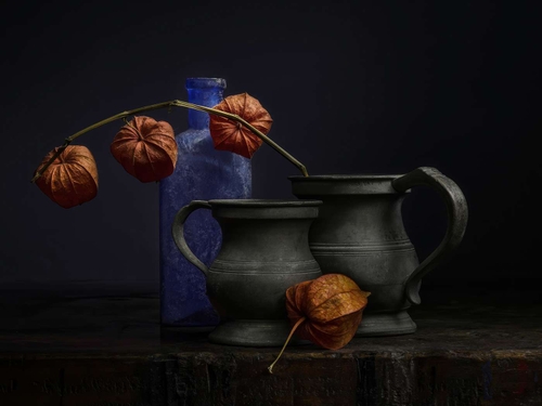 Physalis Flowers