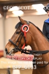 BPP_6133