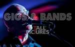 The Wilko Johnson Band-50