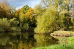 Autumn Colours at Minnowburn