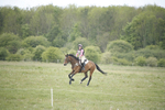 BVHT 140517  NXC -467