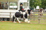 SBM_06262