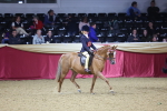 Class G Ridden Pony Champ portfolio