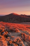 Snaefell Sunrise