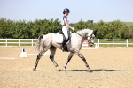 SBM_010154