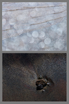 HE/SHE, 2015-16 #49
