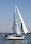 090413 PELICAN IMG_2328
