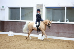 SBM_004305