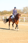 SBM_003458