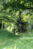 9th May Woodland Ride
