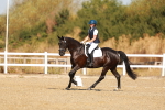 SBM_016615