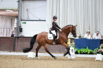 SBM_001165