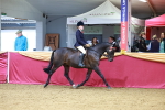 SBM_00732