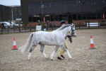 SBM_005966