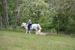 WJ6_1432