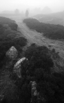 The Corkstone Stanton Moor