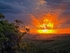 Tuscan Sunset