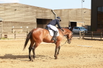 SBM_000269