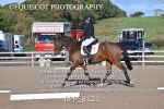 BPP_8121