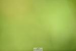230820X-110914-1155