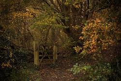Gateway.