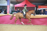 SBM_09627