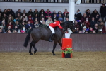 SBM_003571