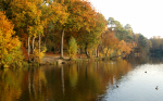 Buchan Park 2 - 02