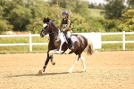 SBM_000373