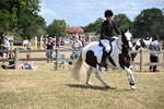 WJ6_5438