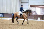 SBM_001481