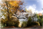 Yorkley View