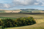 Wiltshire Landscape