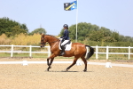 SBM_010504