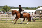 SBM_17739