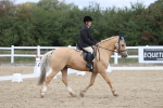 SBM_002884