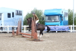 SBM_12197