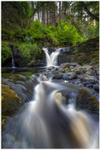 The Falls, Glenariff Forest Park (IMG0778)