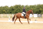 SBM_000719